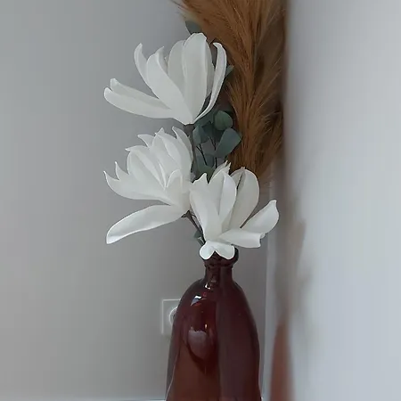 Au Clair De Lune Appartement